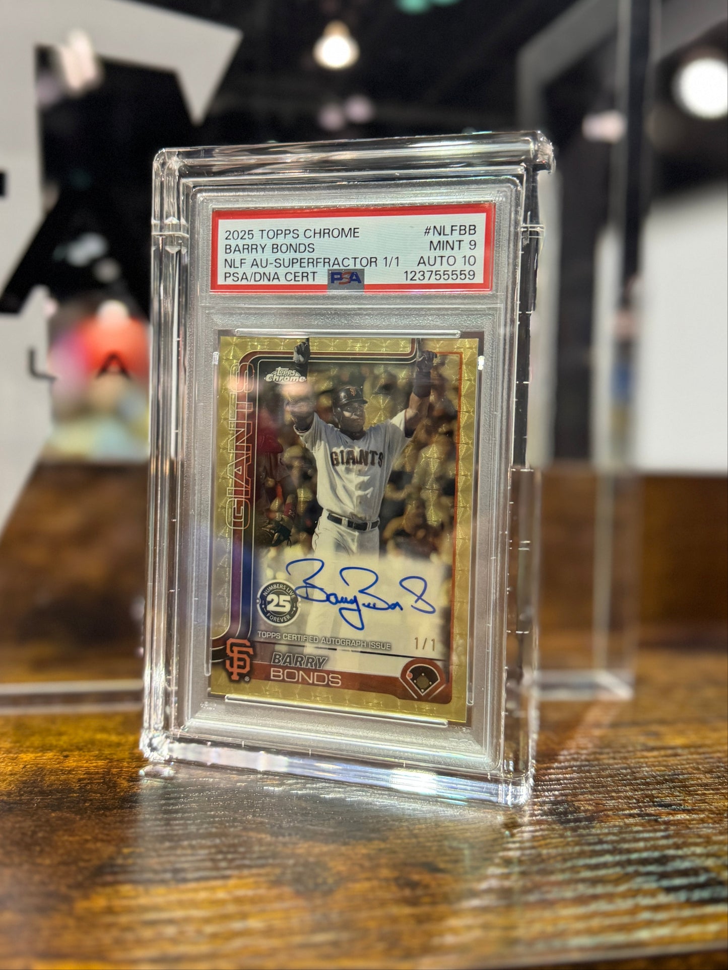 Graded Card Display Case for PSA Style Slabs